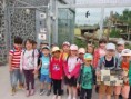 /album/vylet-malkia-park/obrazok-whatsapp-2023-06-27-o-16-10-51-jpg/